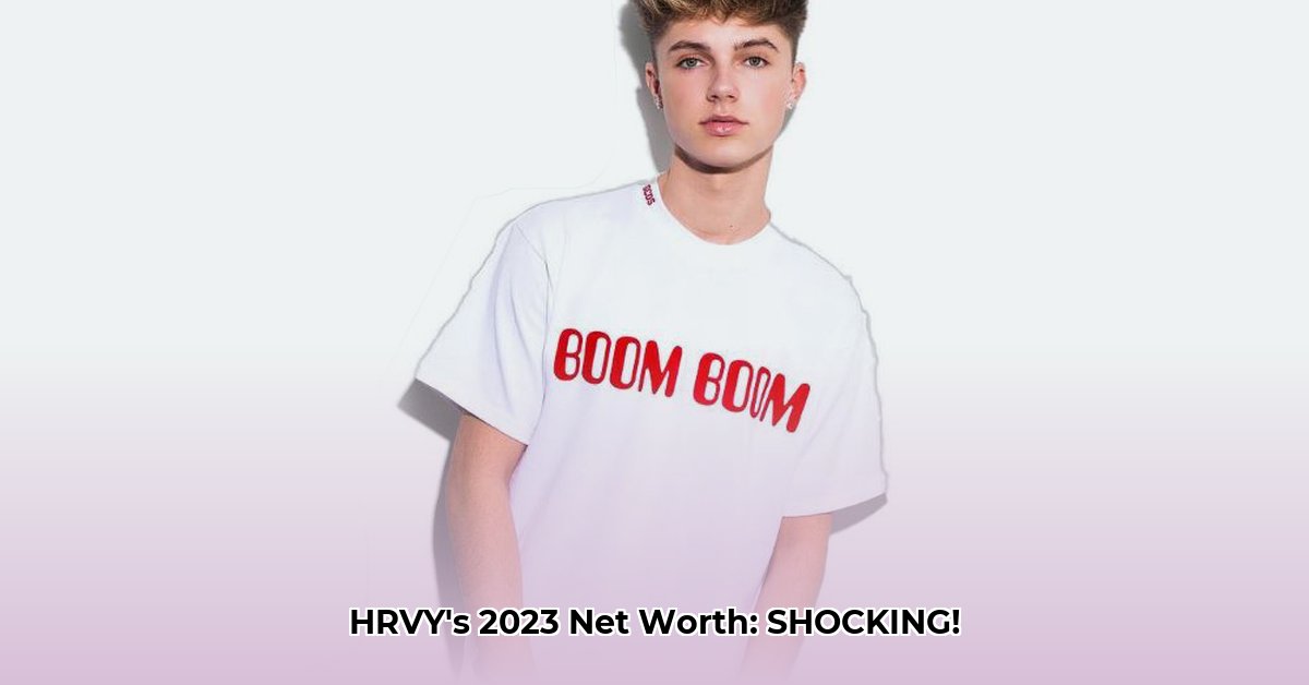 hrvy-net-worth